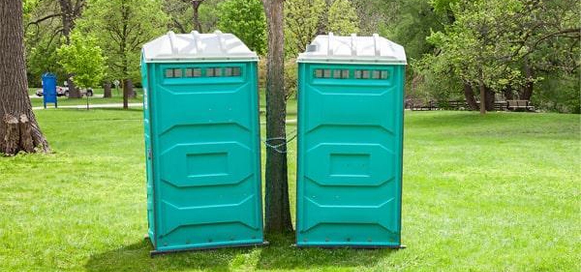 Corporate event portable restroom rental in a park